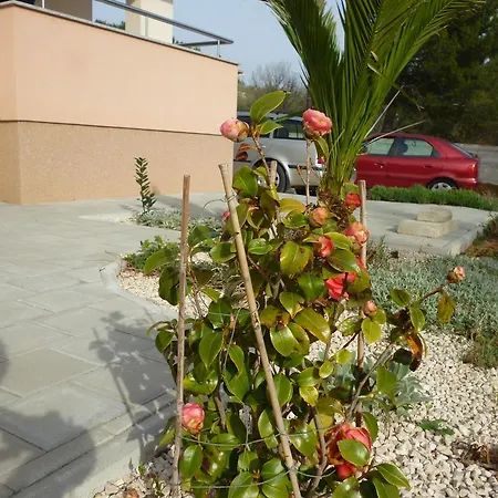 Apartmán Branka